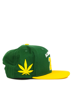 Kšiltovka DGK - Team Indica Snapback (zelená)