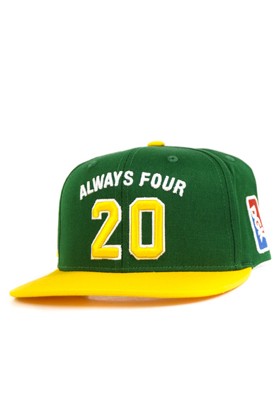 Kšiltovka DGK - Team Indica Snapback (zelená)