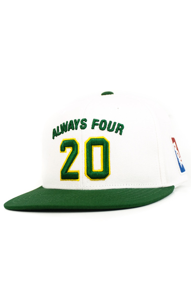 Kšiltovka DGK - Team Indica Snapback (bílá)