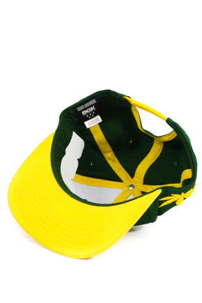 Kšiltovka DGK - Team Indica Snapback (zelená)