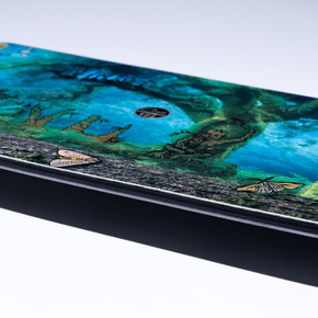 GNU - Finest C2X Asym snowboard