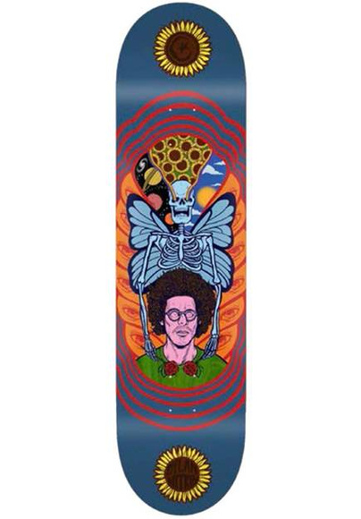 Základová deska - Witking Butterfly