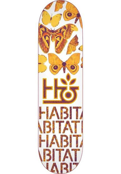 Palubní biotop - Insecta