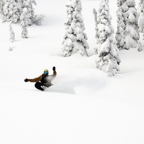 Snowboard Lib Tech - Travis Rice Orca C2X